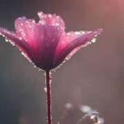 ヒメ日記 2025/07/18 11:26 投稿 ツムギ★大人可愛い愛人系 BITEKI