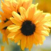 ヒメ日記 2025/07/21 13:35 投稿 ツムギ★大人可愛い愛人系 BITEKI