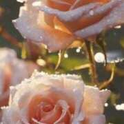 ヒメ日記 2025/07/24 14:49 投稿 ツムギ★大人可愛い愛人系 BITEKI