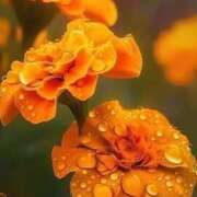 ヒメ日記 2025/07/30 15:25 投稿 ツムギ★大人可愛い愛人系 BITEKI