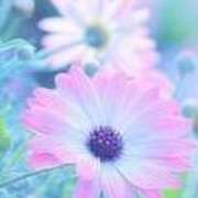 ヒメ日記 2025/07/31 09:45 投稿 ツムギ★大人可愛い愛人系 BITEKI