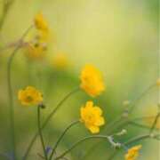 ヒメ日記 2025/08/05 14:05 投稿 ツムギ★大人可愛い愛人系 BITEKI