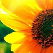 ヒメ日記 2025/08/06 17:00 投稿 ツムギ★大人可愛い愛人系 BITEKI