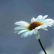 ヒメ日記 2025/08/07 10:45 投稿 ツムギ★大人可愛い愛人系 BITEKI