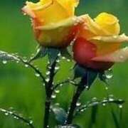 ヒメ日記 2025/08/09 10:45 投稿 ツムギ★大人可愛い愛人系 BITEKI