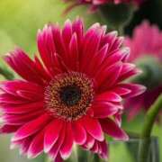 ヒメ日記 2025/08/10 11:46 投稿 ツムギ★大人可愛い愛人系 BITEKI