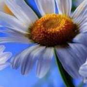 ヒメ日記 2025/08/12 10:45 投稿 ツムギ★大人可愛い愛人系 BITEKI