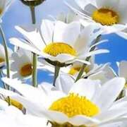 ヒメ日記 2025/08/13 10:45 投稿 ツムギ★大人可愛い愛人系 BITEKI