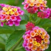 ヒメ日記 2025/08/14 09:45 投稿 ツムギ★大人可愛い愛人系 BITEKI