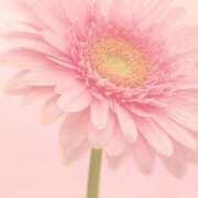 ヒメ日記 2025/08/16 14:13 投稿 ツムギ★大人可愛い愛人系 BITEKI