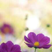 ヒメ日記 2025/08/17 11:30 投稿 ツムギ★大人可愛い愛人系 BITEKI