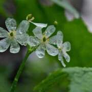 ヒメ日記 2025/08/18 13:50 投稿 ツムギ★大人可愛い愛人系 BITEKI