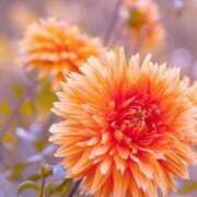 ヒメ日記 2025/08/19 16:32 投稿 ツムギ★大人可愛い愛人系 BITEKI