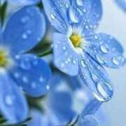 ヒメ日記 2025/08/21 11:15 投稿 ツムギ★大人可愛い愛人系 BITEKI