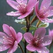 ヒメ日記 2025/08/31 10:00 投稿 ツムギ★大人可愛い愛人系 BITEKI