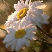 ヒメ日記 2025/09/01 10:30 投稿 ツムギ★大人可愛い愛人系 BITEKI