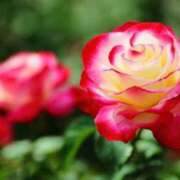 ヒメ日記 2025/09/02 11:15 投稿 ツムギ★大人可愛い愛人系 BITEKI