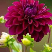 ヒメ日記 2025/09/03 17:41 投稿 ツムギ★大人可愛い愛人系 BITEKI