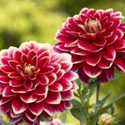 ヒメ日記 2025/09/04 10:45 投稿 ツムギ★大人可愛い愛人系 BITEKI