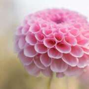 ヒメ日記 2025/09/06 11:15 投稿 ツムギ★大人可愛い愛人系 BITEKI