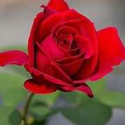 ヒメ日記 2025/09/07 08:45 投稿 ツムギ★大人可愛い愛人系 BITEKI