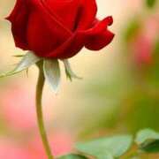 ヒメ日記 2025/09/09 15:39 投稿 ツムギ★大人可愛い愛人系 BITEKI