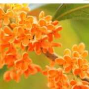 ヒメ日記 2025/09/11 12:44 投稿 ツムギ★大人可愛い愛人系 BITEKI