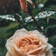 ヒメ日記 2025/09/12 18:32 投稿 ツムギ★大人可愛い愛人系 BITEKI