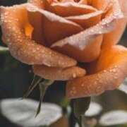 ヒメ日記 2025/09/14 11:22 投稿 ツムギ★大人可愛い愛人系 BITEKI