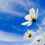 ヒメ日記 2025/09/17 16:35 投稿 ツムギ★大人可愛い愛人系 BITEKI