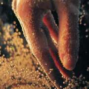 ヒメ日記 2025/09/18 14:30 投稿 ツムギ★大人可愛い愛人系 BITEKI