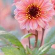 ヒメ日記 2025/09/19 10:16 投稿 ツムギ★大人可愛い愛人系 BITEKI