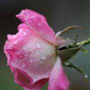 ヒメ日記 2025/09/20 10:40 投稿 ツムギ★大人可愛い愛人系 BITEKI