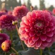 ヒメ日記 2025/09/22 13:39 投稿 ツムギ★大人可愛い愛人系 BITEKI