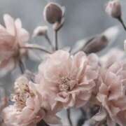 ヒメ日記 2025/09/25 14:40 投稿 ツムギ★大人可愛い愛人系 BITEKI