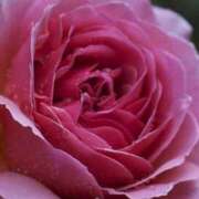 ヒメ日記 2025/09/26 13:24 投稿 ツムギ★大人可愛い愛人系 BITEKI