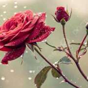 ヒメ日記 2025/09/27 16:43 投稿 ツムギ★大人可愛い愛人系 BITEKI