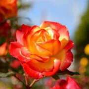 ヒメ日記 2025/09/28 11:15 投稿 ツムギ★大人可愛い愛人系 BITEKI