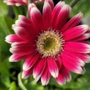 ヒメ日記 2025/10/01 10:45 投稿 ツムギ★大人可愛い愛人系 BITEKI