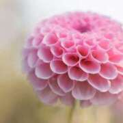 ヒメ日記 2025/10/02 10:15 投稿 ツムギ★大人可愛い愛人系 BITEKI