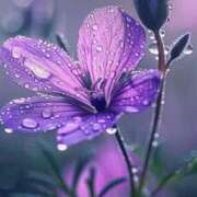 ヒメ日記 2025/10/03 13:35 投稿 ツムギ★大人可愛い愛人系 BITEKI