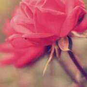 ヒメ日記 2025/10/04 12:02 投稿 ツムギ★大人可愛い愛人系 BITEKI