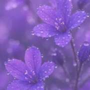 ヒメ日記 2025/10/05 11:15 投稿 ツムギ★大人可愛い愛人系 BITEKI