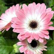 ヒメ日記 2025/10/09 14:47 投稿 ツムギ★大人可愛い愛人系 BITEKI