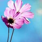 ヒメ日記 2025/10/11 13:45 投稿 ツムギ★大人可愛い愛人系 BITEKI