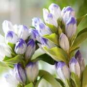 ヒメ日記 2025/10/14 11:15 投稿 ツムギ★大人可愛い愛人系 BITEKI