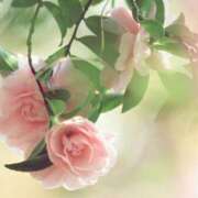 ヒメ日記 2025/10/17 12:16 投稿 ツムギ★大人可愛い愛人系 BITEKI