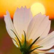 ヒメ日記 2025/10/23 18:15 投稿 ツムギ★大人可愛い愛人系 BITEKI