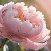 ヒメ日記 2025/10/25 15:14 投稿 ツムギ★大人可愛い愛人系 BITEKI