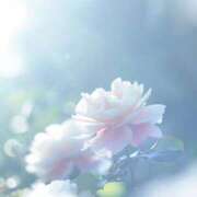 ヒメ日記 2025/10/27 11:15 投稿 ツムギ★大人可愛い愛人系 BITEKI